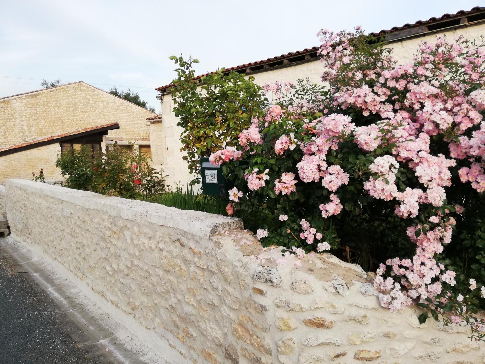 Gites Chez Belliveau Meursac Exterior photo