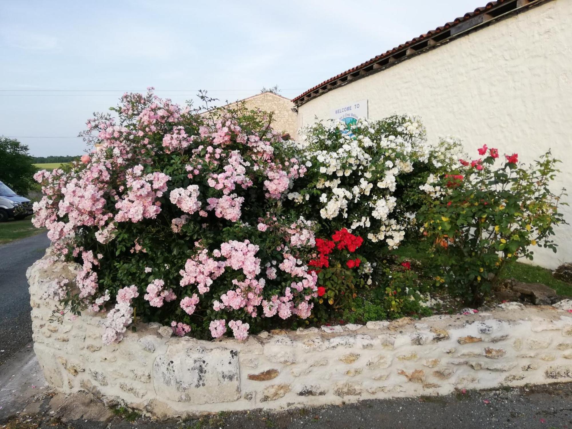 Gites Chez Belliveau Meursac Exterior photo
